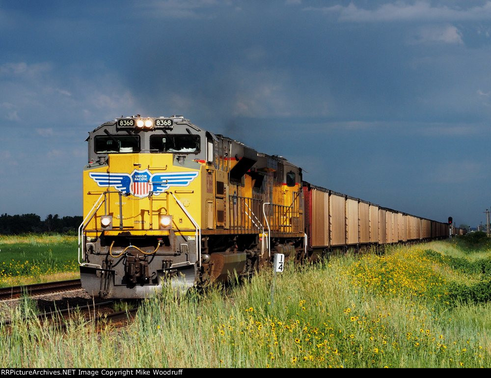 UP 8368